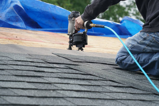 Best Roof Leak Repair  in Burney, CA