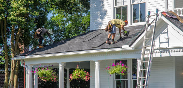 Best Roof Gutter Cleaning  in Burney, CA